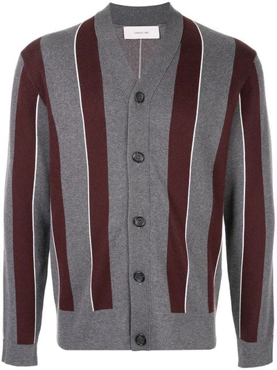 Cerruti 1881 Striped Cardigan In Grey