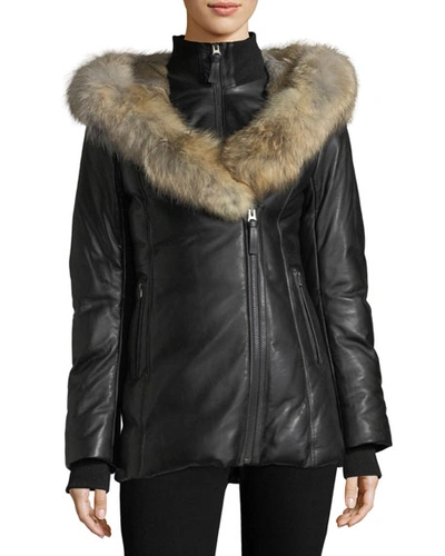 Mackage Ingrid Leather Jacket W/ Fur Collar, Black