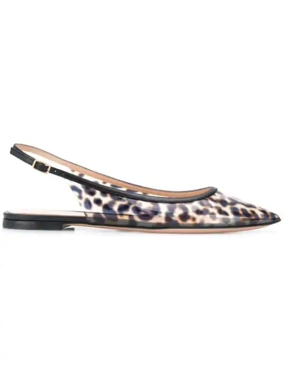 Gianvito Rossi Patent Leather-trimmed Leopard-print Pvc Slingback Point-toe Flats