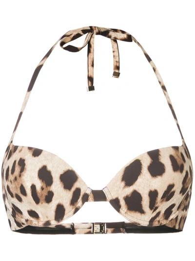 Dolce & Gabbana Leopard Print Bikini Top In Brown