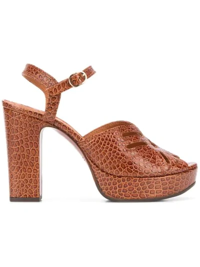 Chie Mihara Fayna Nilo Sandals In Brown