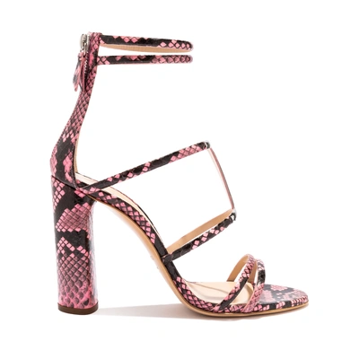 Casadei Aurora Hydra In Lac Pink