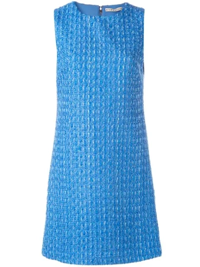 Alice And Olivia Coley Crewneck Sleeveless A-line Mini Dress In Blue