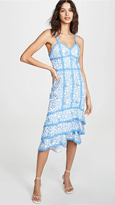 Alice And Olivia Diane Floral Lace Sweetheart Sleeveless Tiered High-low Dress In Cornflower/ White