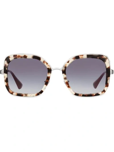 Prada Cinéma Sunglasses In Brown