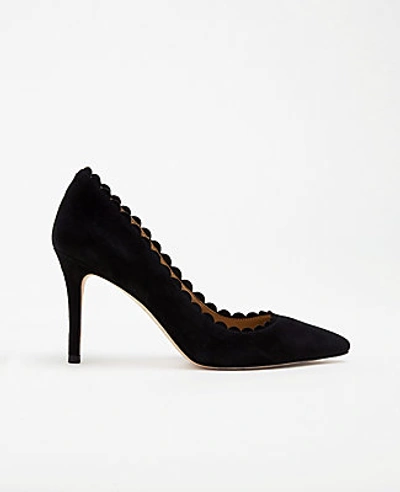 Ann Taylor Mila Scalloped Suede Pumps In Black
