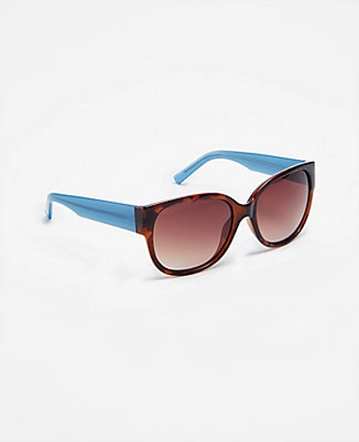 Ann Taylor Spring Square Sunglasses In Brown