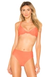 Acacia Swimwear Manhattan Top In Nectar Mesh