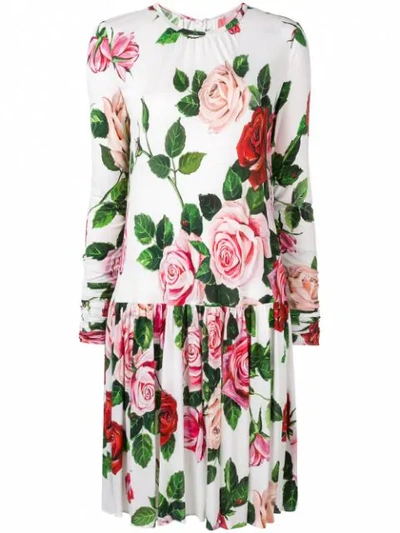 Dolce & Gabbana Rose Print Dress In White