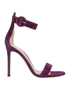 Gianvito Rossi Sandals In Dark Purple