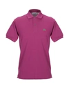 Lacoste Polo Shirts In Mauve