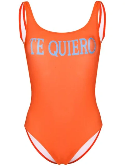 Alberta Ferretti Graphic One-piece In Orange