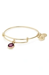 Alex And Ani Color Code Adjustable Wire Bangle In February - Amethyst/ Gold