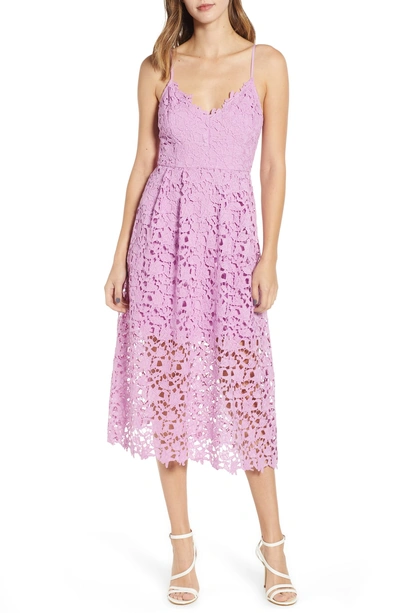 Astr Lace Midi Dress In Light Orchid
