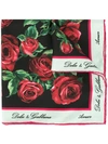 Dolce & Gabbana Rose Print Scarf In Black