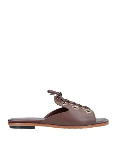 Tod's Sandals In Cocoa