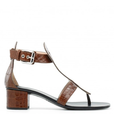 Giuseppe Zanotti Madie In Brown