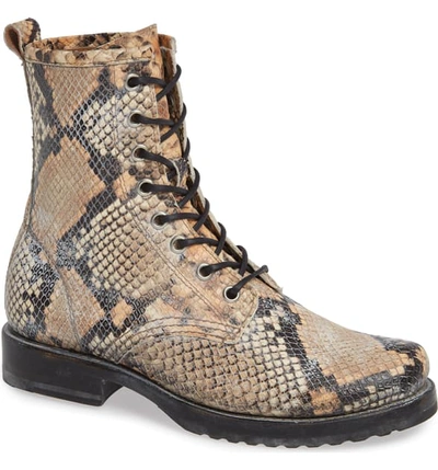 Frye Veronica Combat Boot In Tan Multi