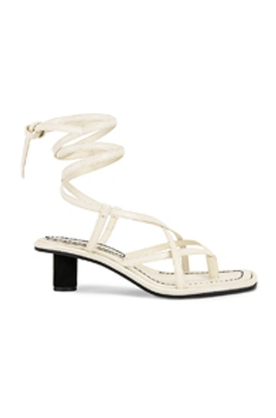 Proenza Schouler Gladiator Sandals In White In Ecru