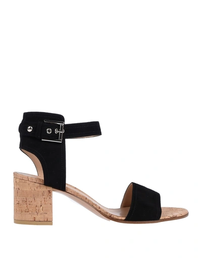 Gianvito Rossi Sandals In Black