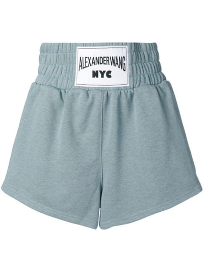 Alexander Wang Lightweight Terry Shorts In Blue