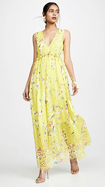 Tanya Taylor Catalina Floral-print V-neck Sleeveless Maxi Dress In Floral Yellow