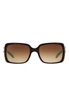Tiffany & Co Square Frame Sunglasses In Top Havana/ Blue/brn Grad
