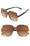 Givenchy 55mm Square Sunglasses - Matte Havana