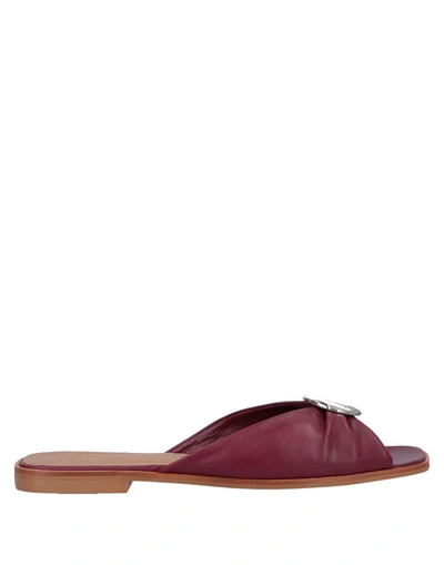 Flattered Sandals In Maroon