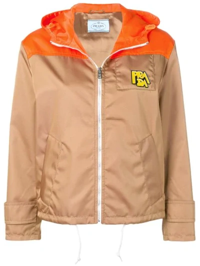 Prada Logo Hooded Jacket In Brown