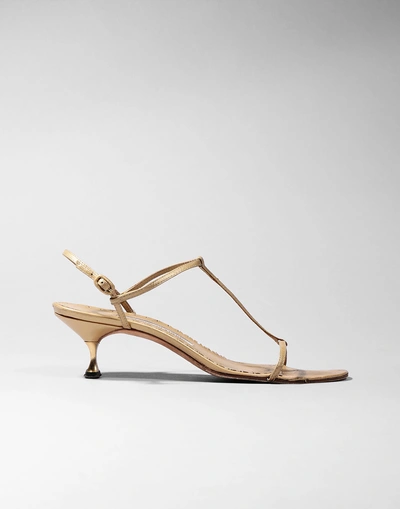 Manolo Blahnik Sandals In Gold | ModeSens