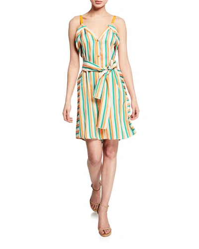 Pinko Andreina Striped Button-front Dress In Multi