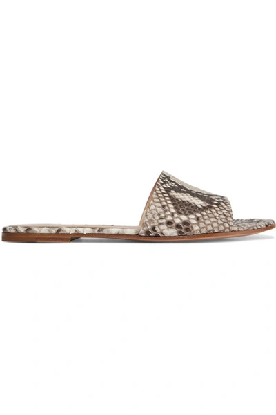 Gianvito Rossi Python Slides In Snake Print