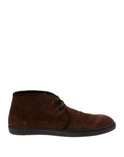 Sergio Rossi Ankle Boots In Dark Brown