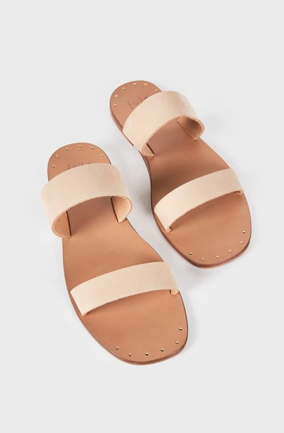 Joie Bannerly Sandal In Blush