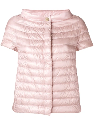 Herno Sleeveless Feather Down Jacket In Pink