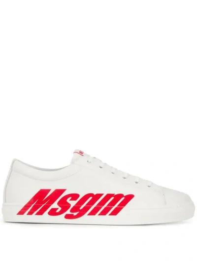 Msgm Contrast Logo Sneakers In White