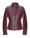 Save The Duck Down Jackets In Maroon