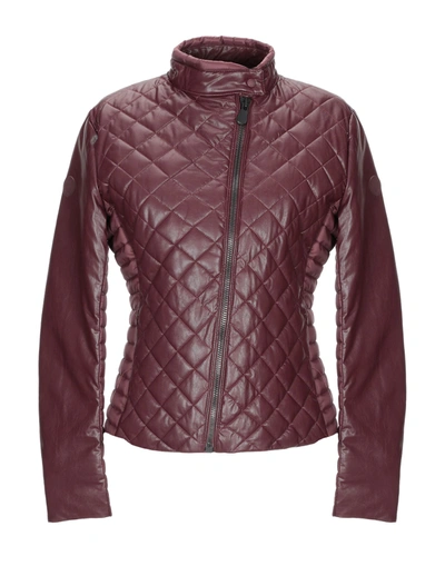 Save The Duck Down Jackets In Maroon