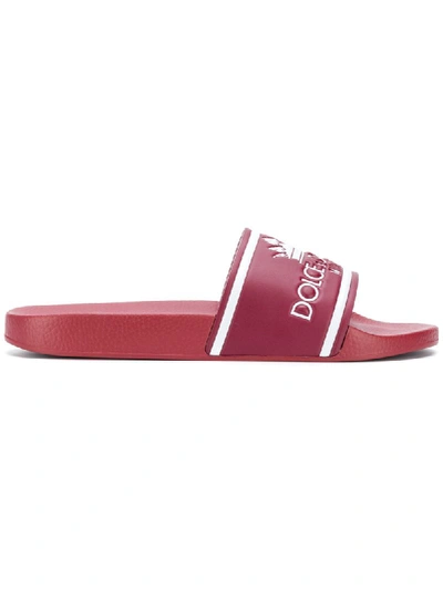 Dolce & Gabbana Printed Calfskin And Rubber Sliders In Red