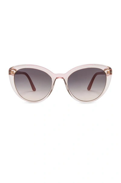 Prada Cinema Round Acetate Sunglasses In Pink. In Transparent Pink Havana & Grey Gradient