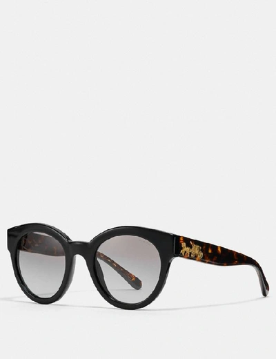 Coach Signature Round Sunglasses In Black - Size One In Black/tort Glitter Sig C