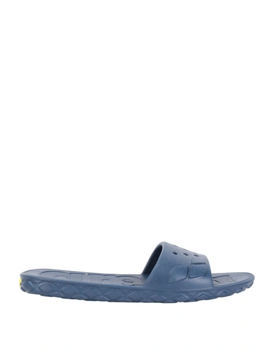 Arena Sandals In Dark Blue