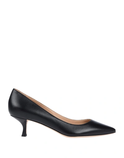 Sergio Rossi Pumps In Black