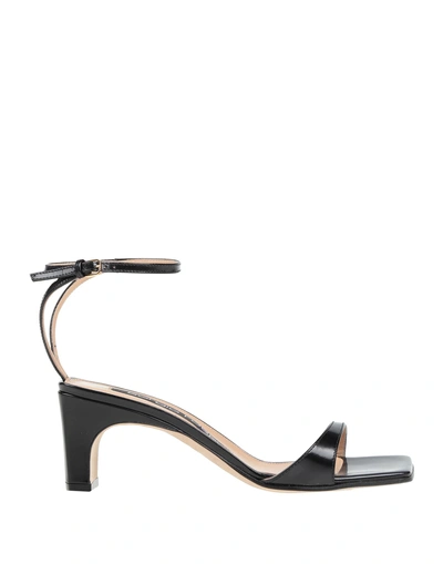 Sergio Rossi Sandals In Black