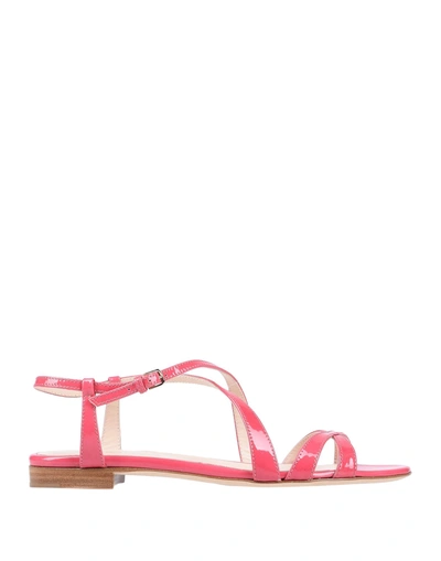 Sergio Rossi Sandals In Fuchsia