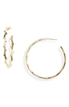Argento Vivo X Dru. Small Thorn Hoop Earrings (nordstrom Exclusive) In Gold