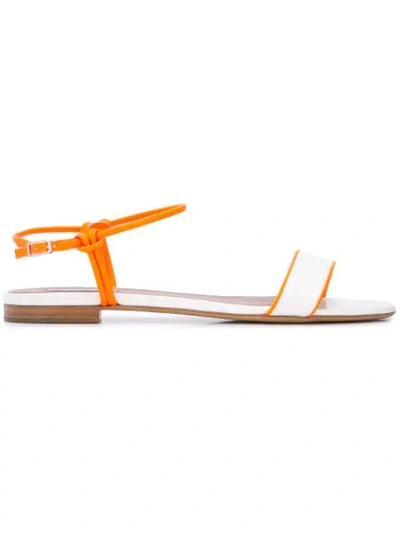 Tabitha Simmons Bungee Flat Sandals In White