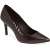 Calvin Klein 'gayle' Pointy Toe Pump In Eggplant Leather