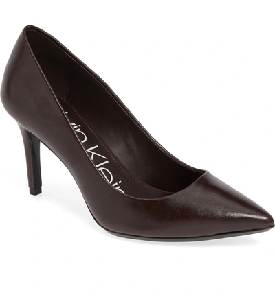 Calvin Klein 'gayle' Pointy Toe Pump In Eggplant Leather